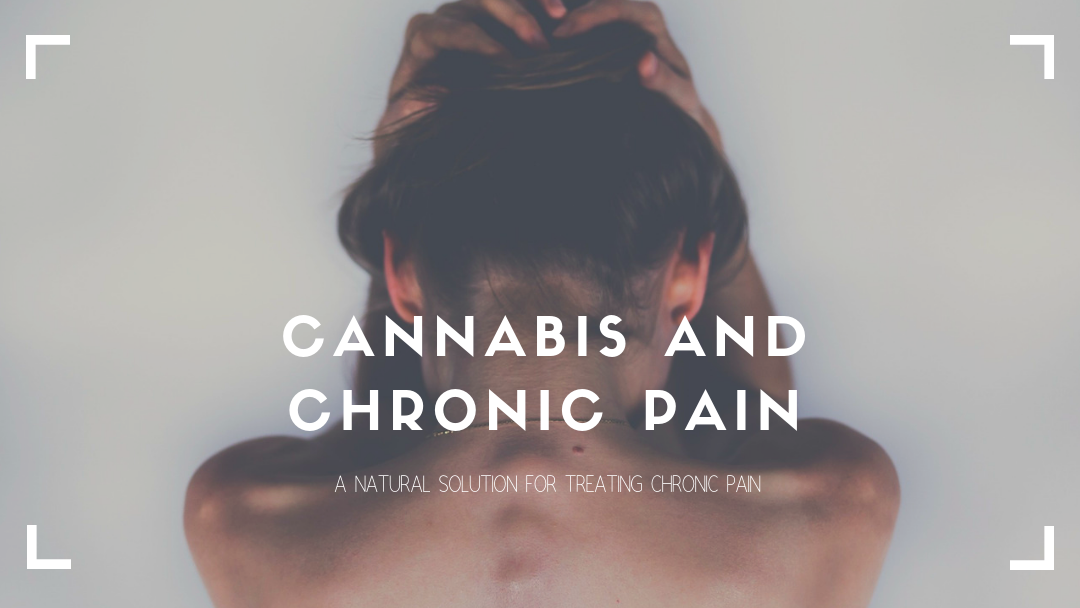 Cannabis and chronic pain